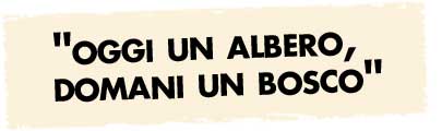 Titolo Associazione